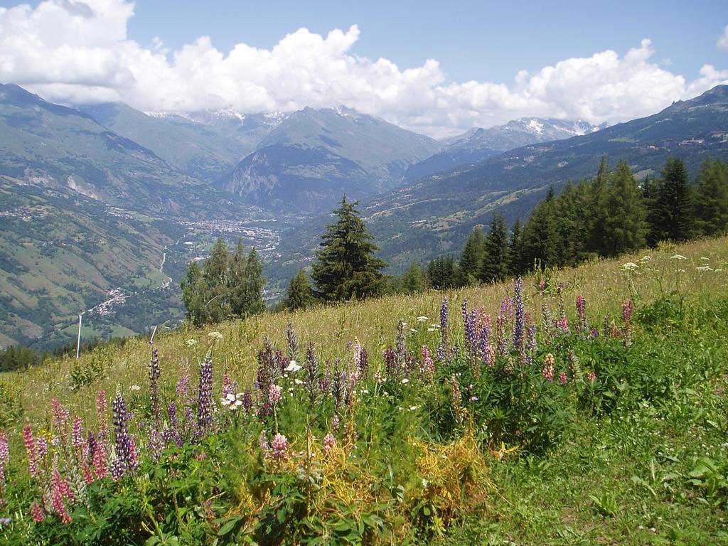 Chalet Les Gentianes La Plagne Esterno foto